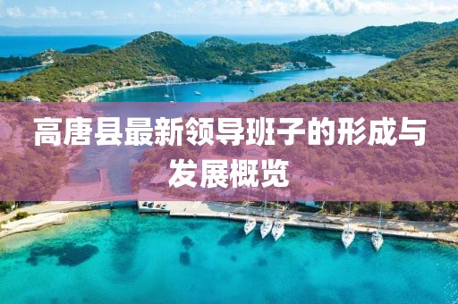 高唐縣最新領(lǐng)導班子的形成與發(fā)展概覽