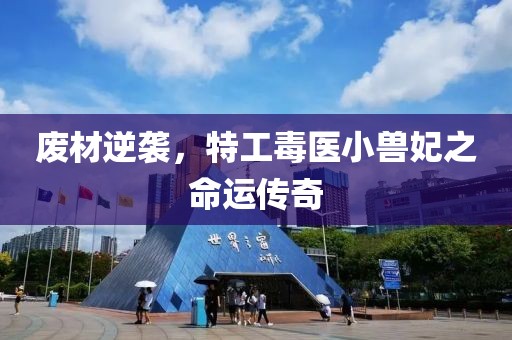 廢材逆襲，特工毒醫(yī)小獸妃之命運傳奇
