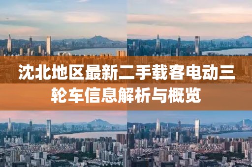 沈北地區(qū)最新二手載客電動(dòng)三輪車信息解析與概覽