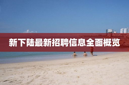 新下陸最新招聘信息全面概覽