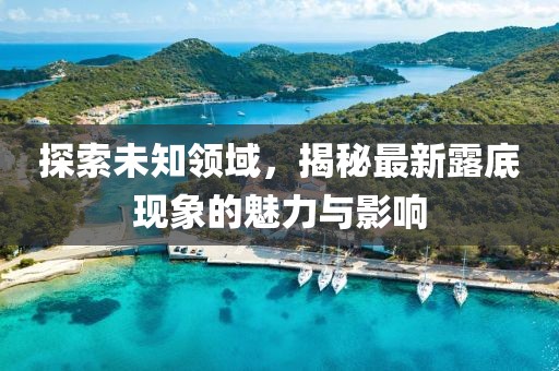 探索未知領(lǐng)域，揭秘最新露底現(xiàn)象的魅力與影響