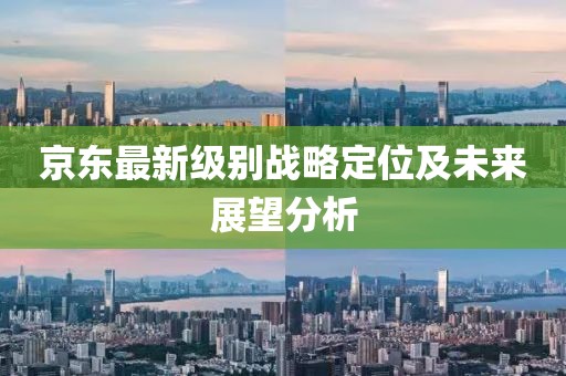 京東最新級別戰(zhàn)略定位及未來展望分析
