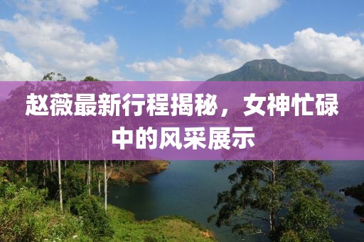 趙薇最新行程揭秘，女神忙碌中的風(fēng)采展示