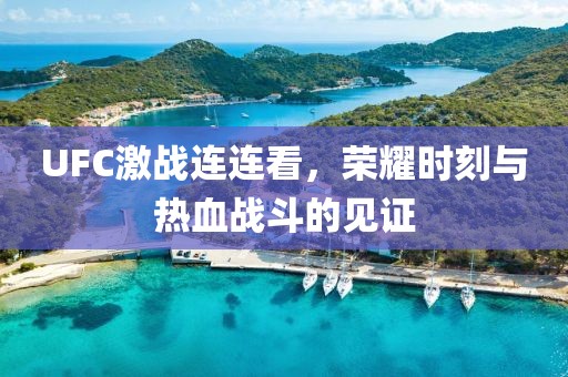 UFC激戰(zhàn)連連看，榮耀時(shí)刻與熱血戰(zhàn)斗的見證