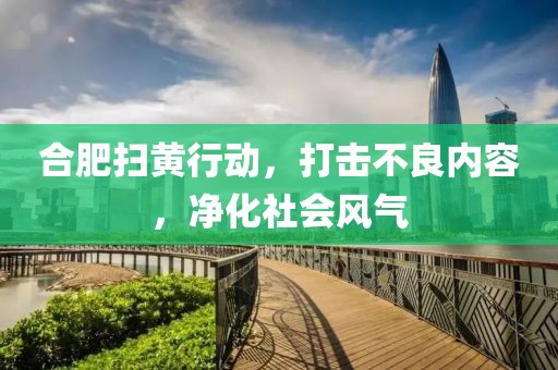 合肥掃黃行動(dòng)，打擊不良內(nèi)容，凈化社會(huì)風(fēng)氣