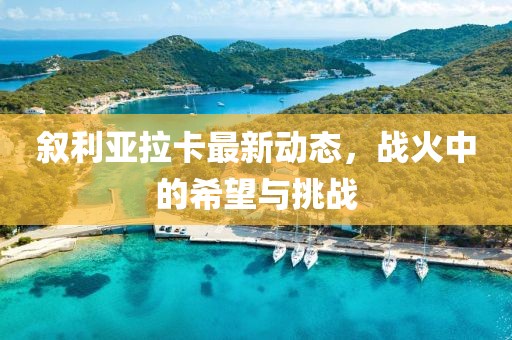敘利亞拉卡最新動態(tài)，戰(zhàn)火中的希望與挑戰(zhàn)