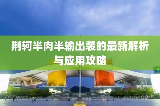 荊軻半肉半輸出裝的最新解析與應(yīng)用攻略