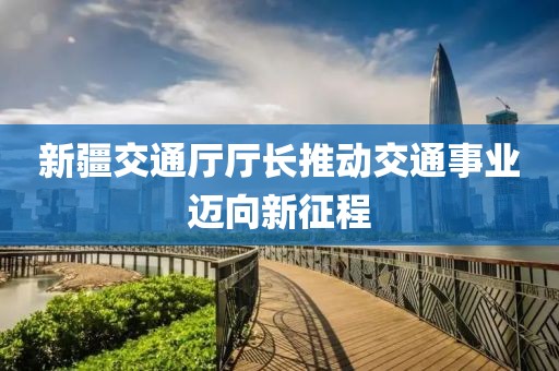 新疆交通廳廳長推動(dòng)交通事業(yè)邁向新征程