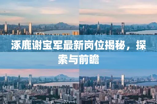 涿鹿謝寶軍最新崗位揭秘，探索與前瞻