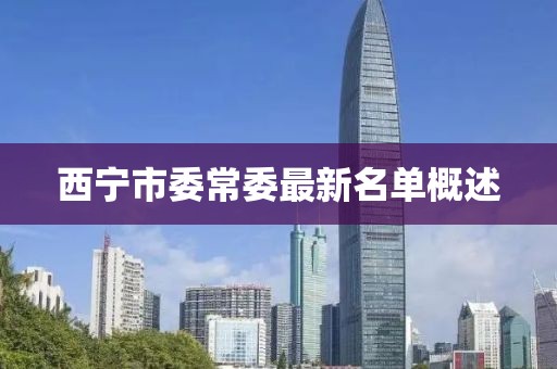 西寧市委常委最新名單概述