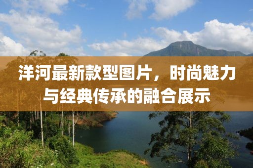 洋河最新款型圖片，時(shí)尚魅力與經(jīng)典傳承的融合展示