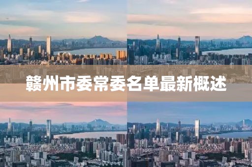 贛州市委常委名單最新概述