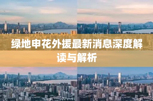 綠地申花外援最新消息深度解讀與解析