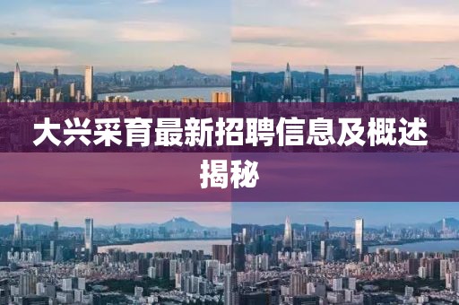 大興采育最新招聘信息及概述揭秘