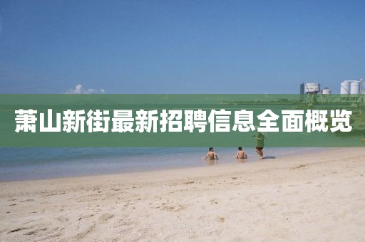 蕭山新街最新招聘信息全面概覽