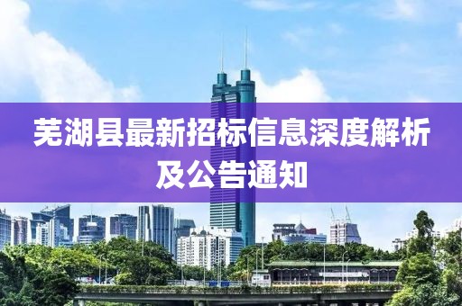 蕪湖縣最新招標(biāo)信息深度解析及公告通知