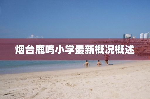 煙臺鹿鳴小學最新概況概述