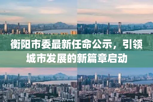 衡陽市委最新任命公示，引領城市發(fā)展的新篇章啟動