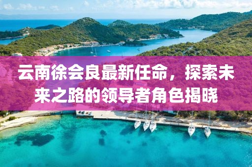 云南徐會良最新任命，探索未來之路的領導者角色揭曉