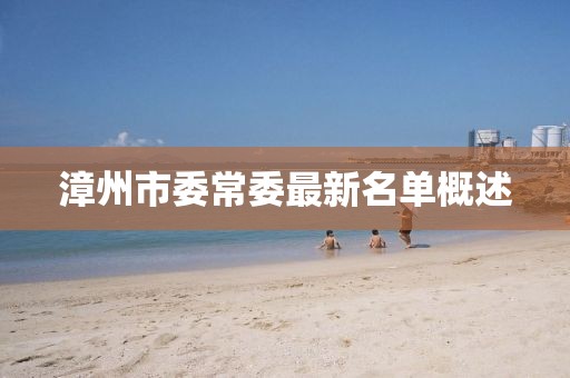 漳州市委常委最新名單概述