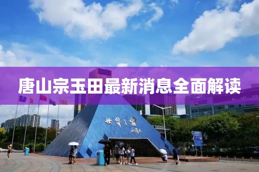 唐山宗玉田最新消息全面解讀