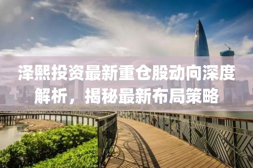 澤熙投資最新重倉股動向深度解析，揭秘最新布局策略
