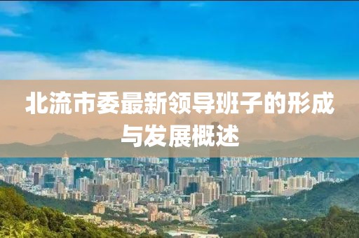 北流市委最新領導班子的形成與發(fā)展概述