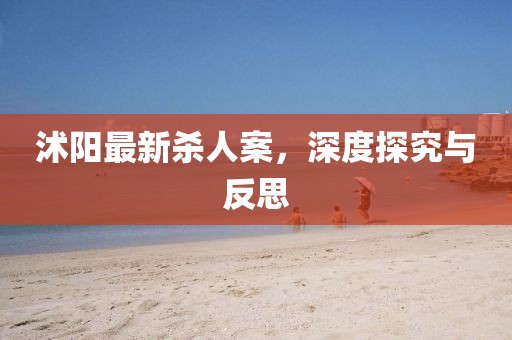 沭陽最新殺人案，深度探究與反思