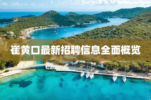 崔黃口最新招聘信息全面概覽