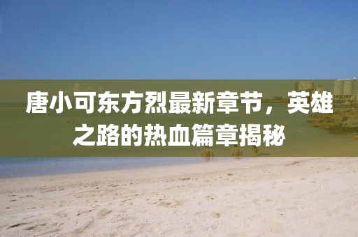 唐小可東方烈最新章節(jié)，英雄之路的熱血篇章揭秘