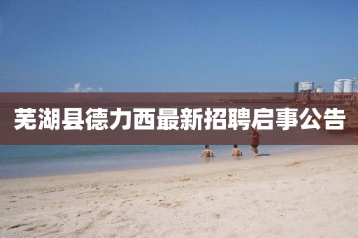 蕪湖縣德力西最新招聘啟事公告