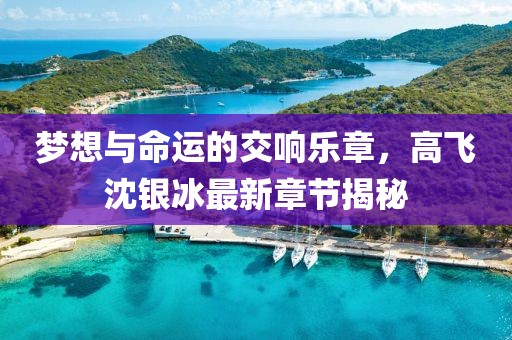 夢想與命運的交響樂章，高飛沈銀冰最新章節(jié)揭秘