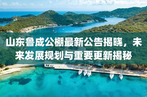 山東魯成公棚最新公告揭曉，未來發(fā)展規(guī)劃與重要更新揭秘