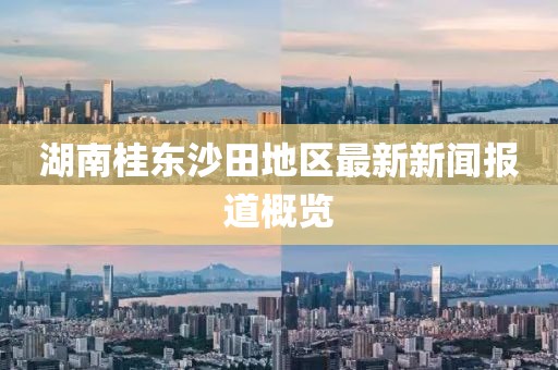 湖南桂東沙田地區(qū)最新新聞報(bào)道概覽