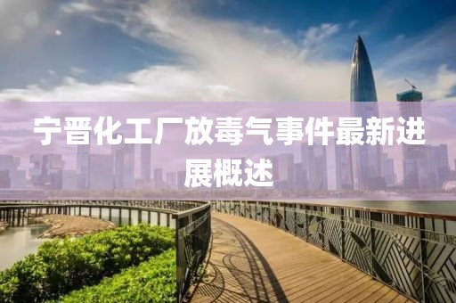 寧晉化工廠放毒氣事件最新進展概述