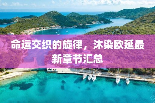 命運交織的旋律，沐染歐延最新章節(jié)匯總