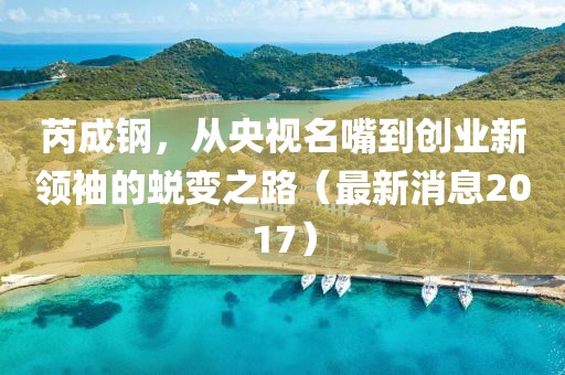 芮成鋼，從央視名嘴到創(chuàng)業(yè)新領(lǐng)袖的蛻變之路（最新消息2017）
