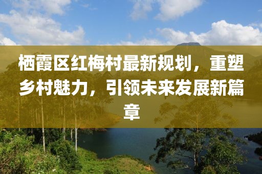 棲霞區(qū)紅梅村最新規(guī)劃，重塑鄉(xiāng)村魅力，引領(lǐng)未來(lái)發(fā)展新篇章