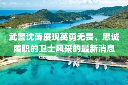武警沈濤展現(xiàn)英勇無畏、忠誠履職的衛(wèi)士風(fēng)采的最新消息
