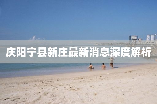 慶陽(yáng)寧縣新莊最新消息深度解析
