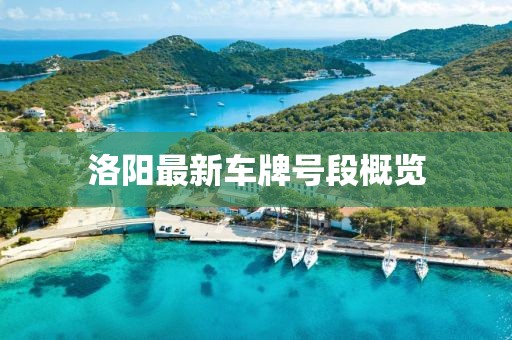 洛陽最新車牌號(hào)段概覽