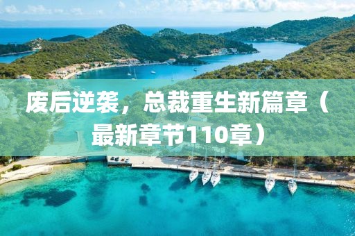 廢后逆襲，總裁重生新篇章（最新章節(jié)110章）