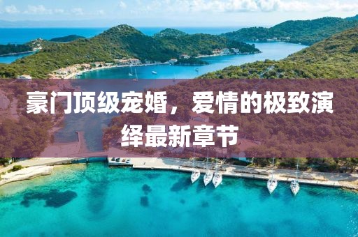 豪門頂級(jí)寵婚，愛情的極致演繹最新章節(jié)