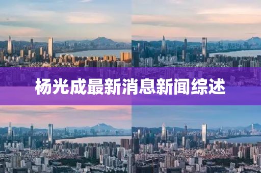 楊光成最新消息新聞綜述