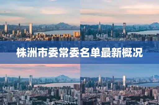株洲市委常委名單最新概況