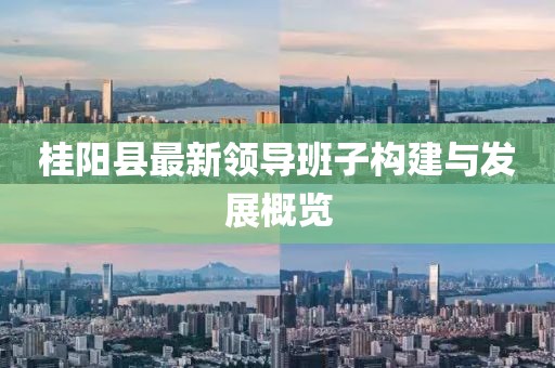 桂陽(yáng)縣最新領(lǐng)導(dǎo)班子構(gòu)建與發(fā)展概覽
