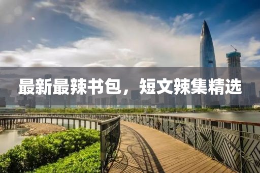 最新最辣書包，短文辣集精選