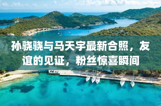 孫驍驍與馬天宇最新合照，友誼的見(jiàn)證，粉絲驚喜瞬間