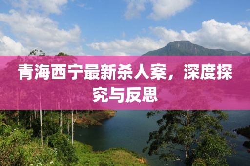 青海西寧最新殺人案，深度探究與反思