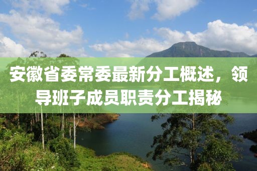 安徽省委常委最新分工概述，領導班子成員職責分工揭秘